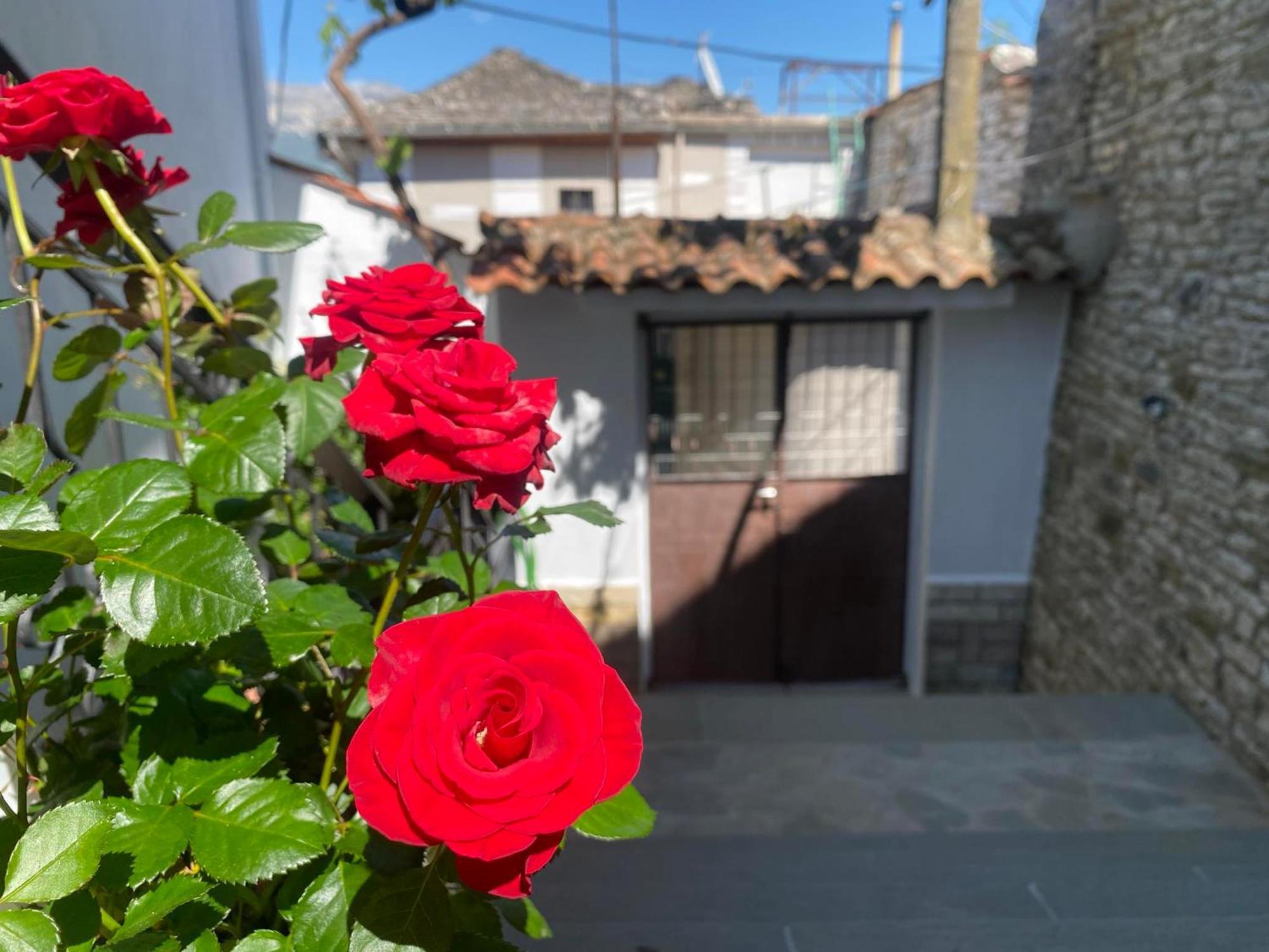 Guest House Persa Gjirokastër 外观 照片