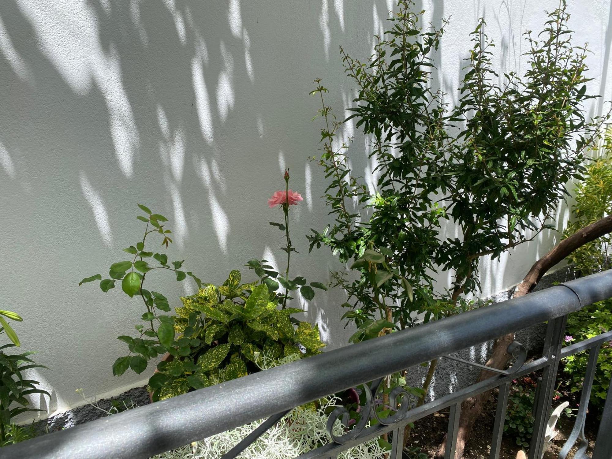 Guest House Persa Gjirokastër 外观 照片